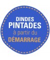 DINDE PINTADE REGAL 8KG