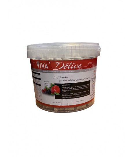 DELICE FRUIT ROUGE VIVALLURE SEAU 2.5KG